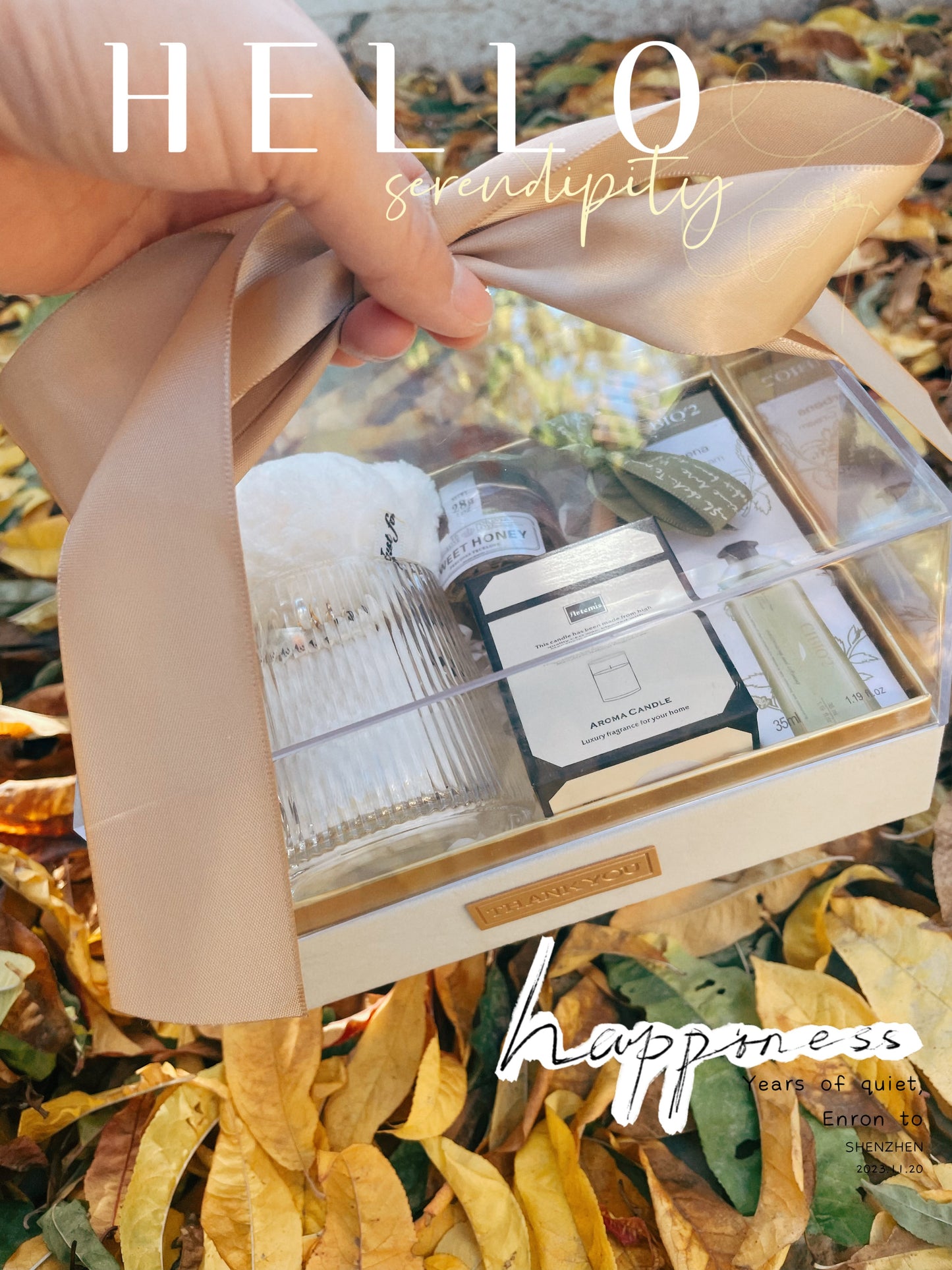 Alex Champagne-Colored Ribbon Gift Box